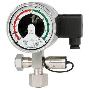 Монитор плотности газа GDM-100-CV WIKA